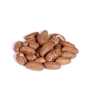 Hạt Đắng <span class=keywords><strong>Kola</strong></span> (Garcinia <span class=keywords><strong>Kola</strong></span>) Xuất Khẩu - Product Image 5