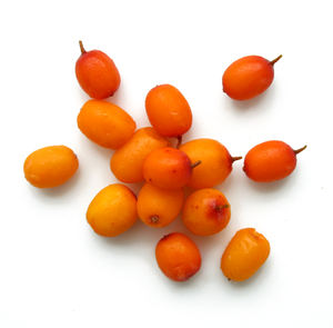 Aceite Portador de Semillas de Espino Amarillo Puro Prensado en Frío 100% Puro Modelo AGE-CO-91 de AARNAV GLOBAL EXPORTS - Product Image 6