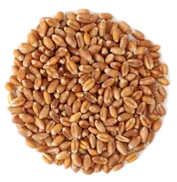 Canadian Quality Durum Wheat, Hard White Wheat