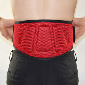 Cinturón de gimnasia personalizado, gran oferta al por mayor, levantamiento de pesas, Fitness - Product Image 2