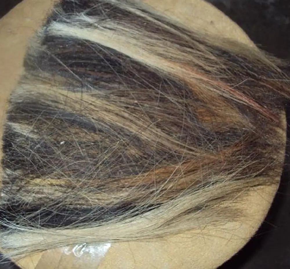 Волосы с хвостом быка, вымытые и опрятанные, и определенный размер для изготовления щеток из Индии