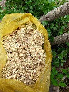 Vietnam Wholesale <b>Seaweed</b> Product and Bag Packaging Dried Gracilaria Verrucosa for Export - Product Image 2