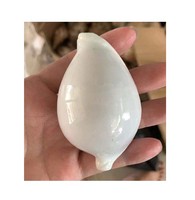 Coquillages du Vietnam très vendus, minuscules coquilles d'umbonium pour l'artisanat, les bijoux, la décoration, les aquariums