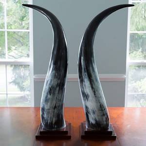 Corne de vache de haute qualité, centre de table décoratif d'intérieur, taille personnalisée et support en bois avec vente - Product Image 4