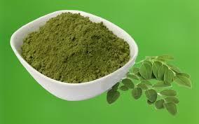 Extrait de plantes de feuille de Moringa, vente en gros, produits organiques, fabricants de plantes, en russie - Product Image 3