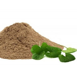 Proveedor Gotu Kola en polvo/Pennywort asiático de Vietnam - Product Image 1