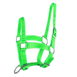 Brida de caballo de poliéster con cuello Halter, productos de tachuelas ecuestres de nailon - Product Image 1