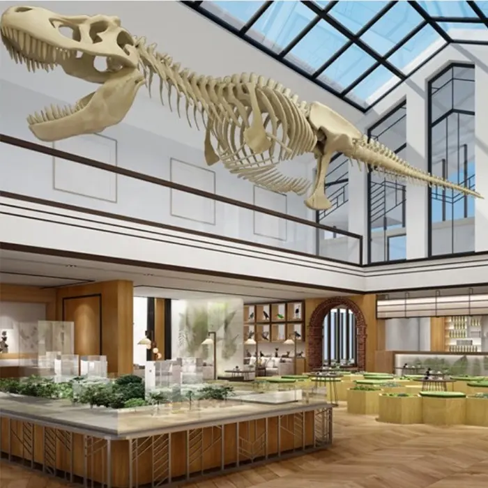 Musée squelette de dinosaure en fibre de verre de répliques