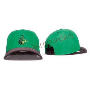 2025 nouvelles casquettes de baseball classiques élégantes conception personnalisée et Logo vêtements de sport légers casquettes ajustées - Product Image 4