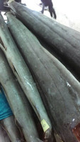Poisson voilier et marlin surgelés IQF, conservés dans l'eau, emballage en vrac, fruits de mer naturels du Vietnam - WA 084 989 322 607