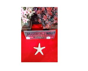 Applique en laiton en forme d'étoile de mer, style américain, pour urne funéraire BRASSWORLD INDIA, fournitures funéraires - Product Image 1