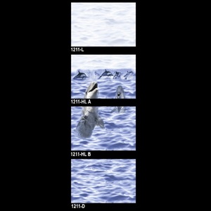 Azulejo de cerámica de nuevo diseño 30x45cm - Product Image 3