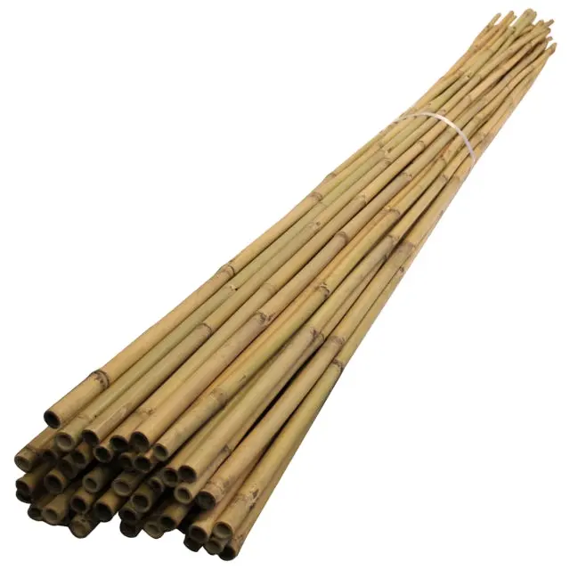 Top Quality Natural Bamboo Poles/Canes/StakesためAgriculture Planting