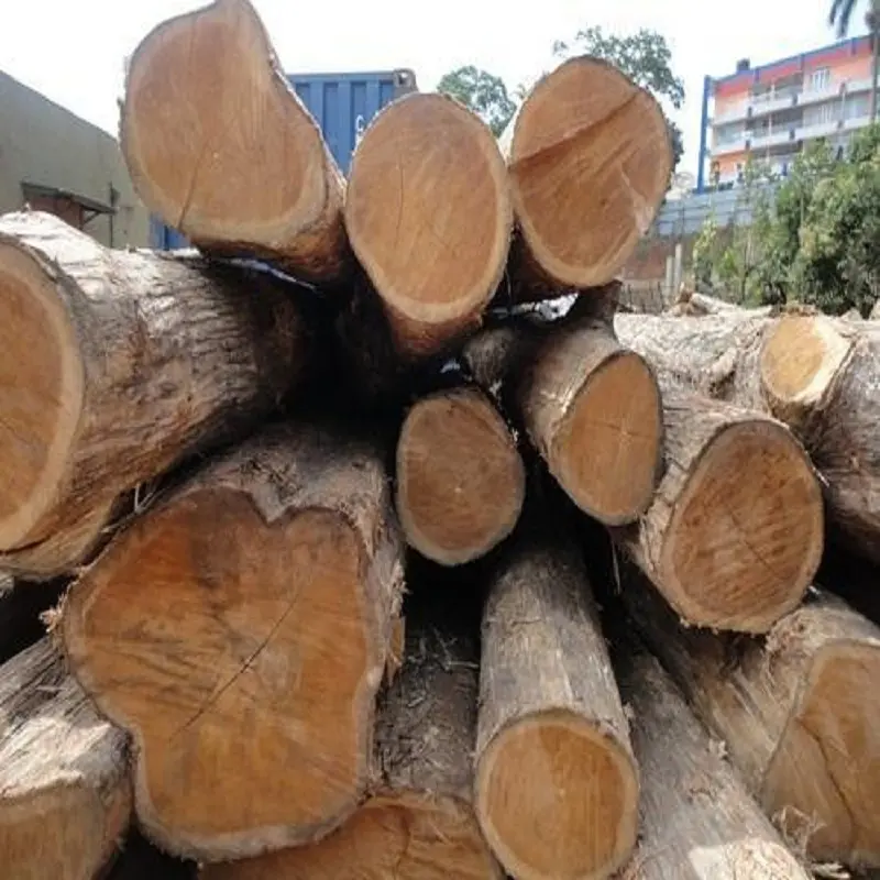 Timber Logs Wood Teak Wood Oak Wood Logs