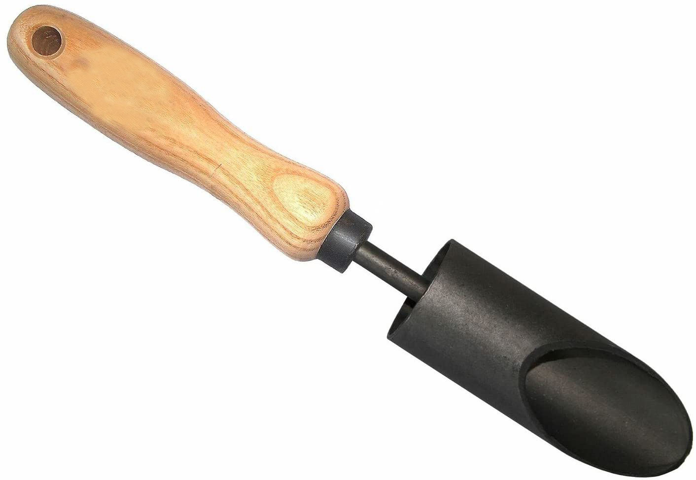 ธรรมชาติ &amp; สีดำ