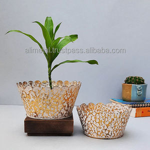 ชุดกระถางตั้งโต๊ะแบบเคลือบผงเป็นมิตรต่อสิ่งแวดล้อม2ชั้นสำหรับตกแต่งในบ้านสำนักงานสวนกลางแจ้งสถานรับเลี้ยงเด็ก - Product Image 2