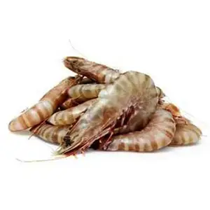 Crevettes gelés/fruits de mer/tigre noir, 1 pièce, pour l'exportation