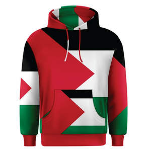 Sudaderas Lisas para Deportes de Invierno al por Mayor, 100% Algodón Felpa, con Logotipo Personalizado, Unisex, para Hombre - Product Image 1