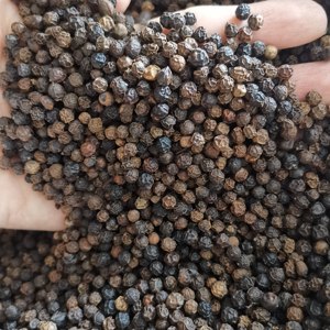 Poivre noir du Vietnam Prix le moins cher toutes tailles Poivre noir de qualité supérieure le plus vendu Poivre du Vietnam WHATSAP 0084989322607 - Product Image 2