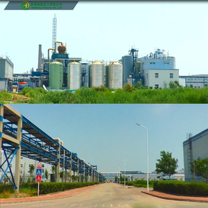 उच्च गुणवत्ता लिथियम सिलिकेट 10102-24-6 - Product Image 2