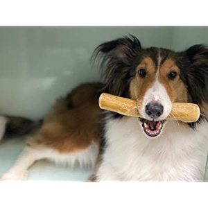 แท่งเคี้ยวของเล่นกระดูกไม้ธรรมชาติปลอดภัยเป็นมิตรต่อสิ่งแวดล้อมต้นไม้กาแฟทนทานยั่งยืน - Product Image 4