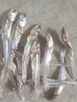 VDELTA Viet Delta Industrial Co. Ltd Anchois entiers séchés par procédé AD - Emballage sous vide 10 kg, taille 3-9 cm, salés, durée de conservation 12 mois