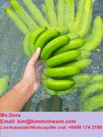 De Premium Verse Banaan Canvendish Van Viet Nam Voor Verkoop/Hot Selling 2022 Verse Banaan Cavendish