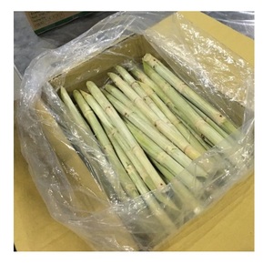 CAÑA DE AZÚCAR ORGÁNICA CONGELADA USO Jugo de caña de azúcar //Rachel: +84896436456 - Product Image 4