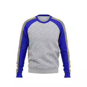 2025 nouveauté Raglaan 100% coton col rond sweat brodé promotionnel anti-rides manches - Product Image 3