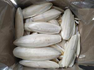 100% Natural Dried <b>Cuttlefish</b> Bone From Vietnam/ Vivian Ha +84 33 88 20 462 - Product Image 3