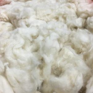 Coton peigné, coton en mèche, coton brut pour le filage, fil respirant et écologique - Mme Mira - Product Image 2