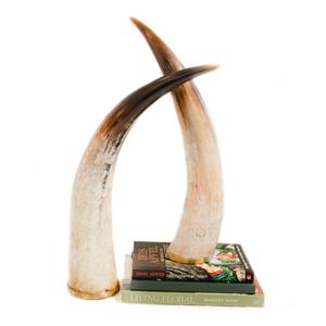 Bocina decorativa de último diseño, soporte de diseño de acero, llanta de acero - Product Image 4