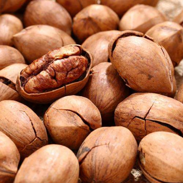 Оптом Halves Pecans/органические орехи Pecan по лучшей цене