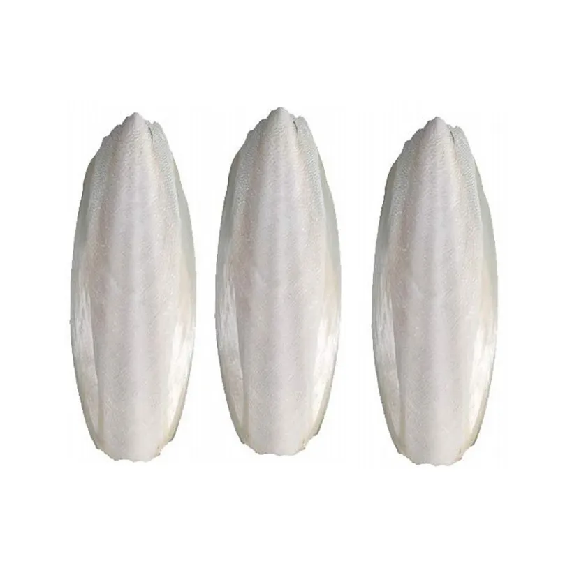 Cuttlefish Bone - Bird food Cuttlebone/100% Natural CUTTLEFISH BONE made in Viet Nam with Best Price Bird Parrot Toys