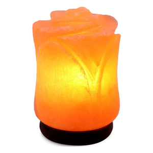 Lampes en sel rose de l'Himalaya sculptées de qualité supérieure, thème amour, forme unique, prix attractif, cadeau d'Impex Pakistan - Product Image 4