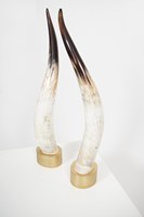 Lampe à sel décorative antique en corne de taureau/vache sculptée, style animal, écologique, pour chambre à coucher, emballage individuel personnalisé, haute qualité naturelle
