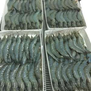 Vannamei — crevettes gelées,, original, à vendre - Product Image 3