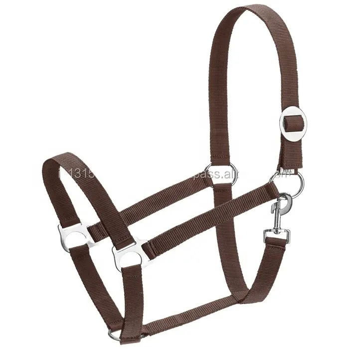 Very Low Price All colors available Economy PP Horse Halter Horse Equestrian Adjustable Nylon Horse