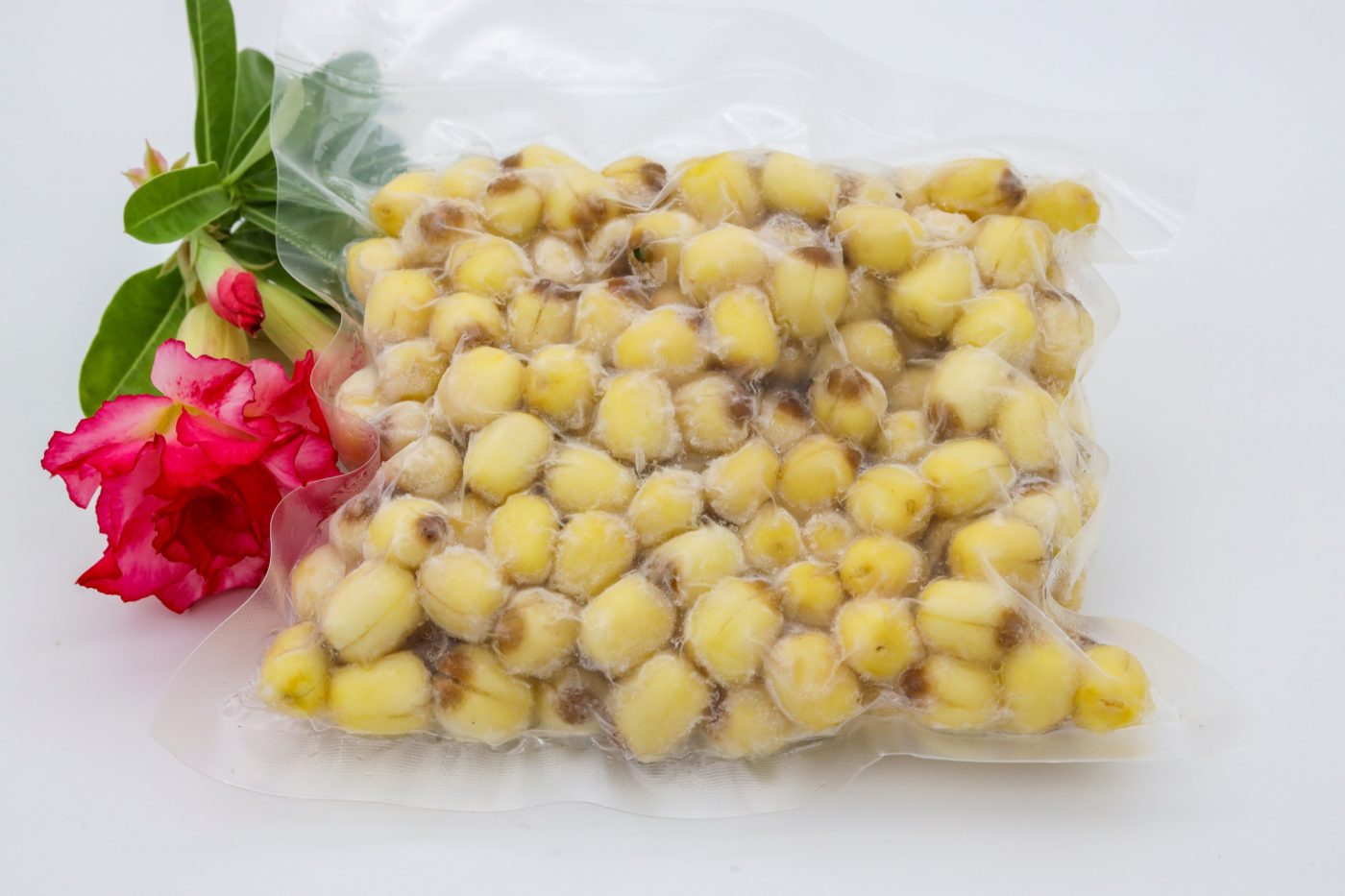 Vietnam Natural Yellow Mango Frozen Dice Half Cut Or Smash Fruit Bulk With Best Pric