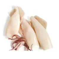 Hot Sale High Quality Frozen Cleaned Squid & Calamari Top Supplier Made In Vietnam Cheap Price