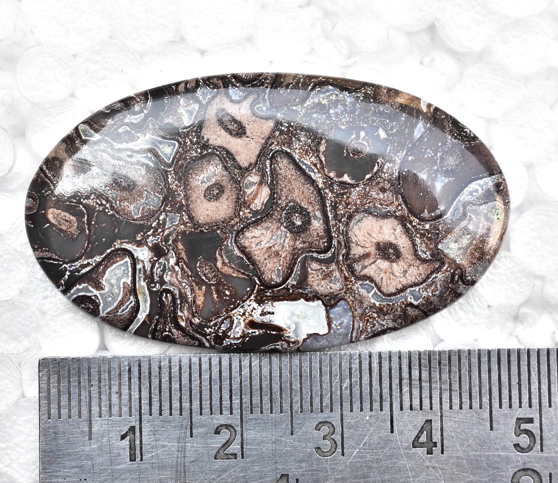 สีน้ำตาล