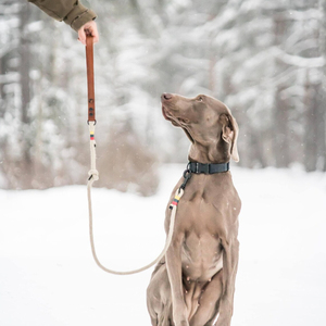 Hemp & Leather Dog <b>Leash</b> With Multiple Color Options and Stylish Accents - Product Image 1