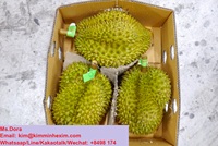 Top Selling 2022 Hoge Kwaliteit Verse Durian Fruit Met Concurrerende Prijs Uit Vietnam