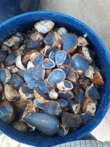 En gros Propre Bruts De Haute Qualité Calcédoine Bleue Naturelle - Product Image 2