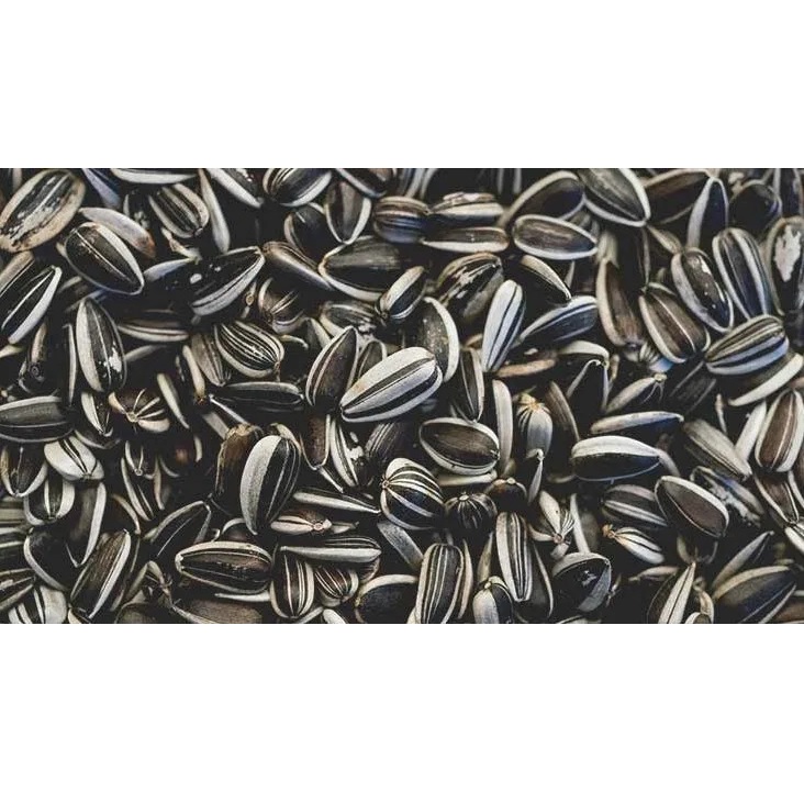 Семена подсолнечника