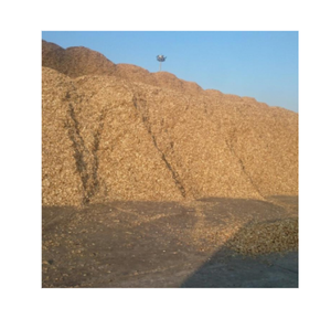 เศษไม้กระถินในเวียดนามส่งออกแบบแห้งสนิทเป็นเมตริกตัน - Product Image 4