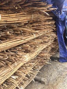 MATÉRIAU DE POLE EN ROTIN NATUREL pour MEUBLES - POLE EN ROTIN DU VIETNAM - POLE EN ROTIN POLI  WS0084587176063 - Product Image 2