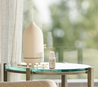 Meilleure vente 160ml diffuseur d'huiles essentielles à ultrasons Rechargeable écologique de table nouvelle version pierre céramique arôme USB