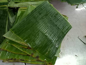 กล้วยสด/ กล้วยกลม กล้วยสี่เหลี่ยม ราคาดีที่สุดจากเวียดนาม - Product Image 3