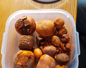 Piedras Ox/Cow Gall, en venta - Product Image 4